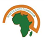 African Youth Commission